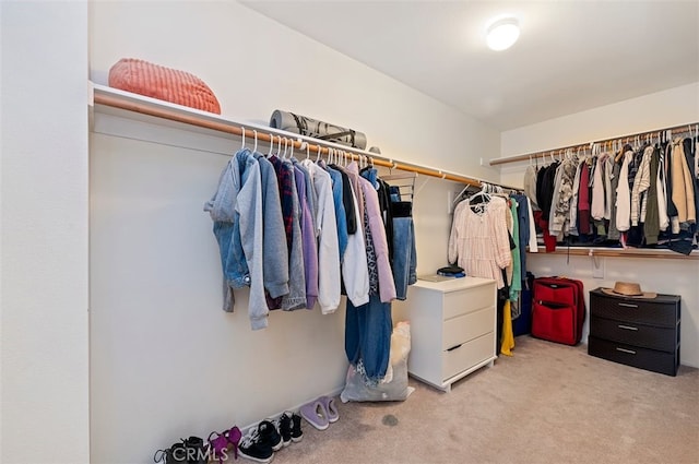 walk in closet featuring light carpet