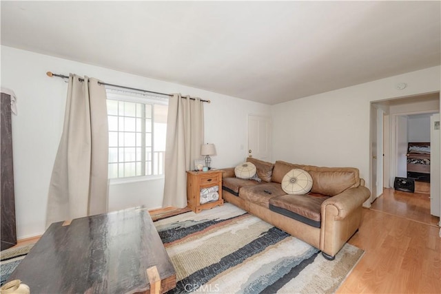 living area with wood finished floors