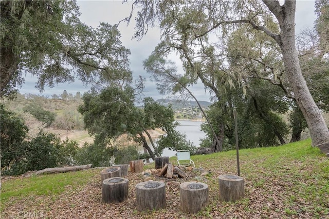 view of yard with a water view