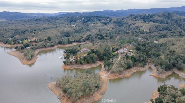 drone / aerial view with a view of trees and a water and mountain view