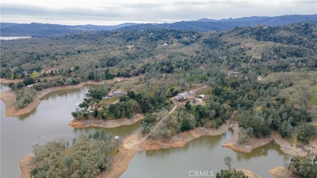 drone / aerial view featuring a forest view and a water and mountain view