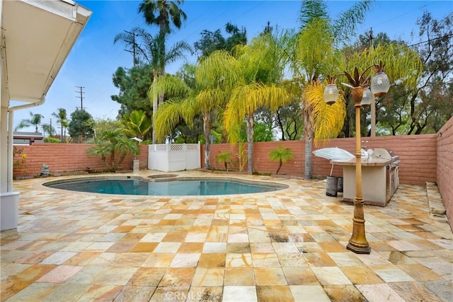 view of pool with a fenced in pool, a patio, and a fenced backyard