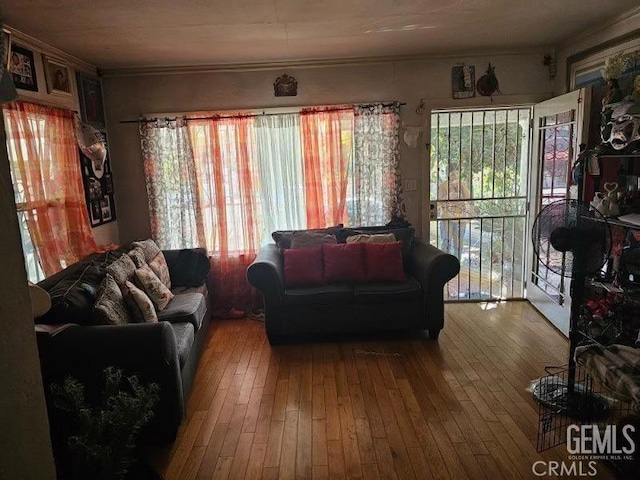 living room featuring hardwood / wood-style flooring