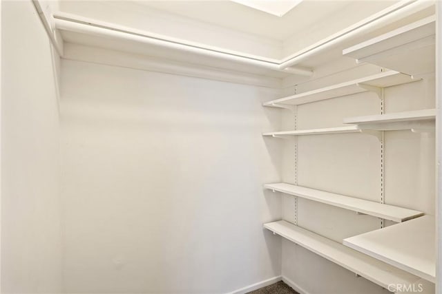 view of spacious closet