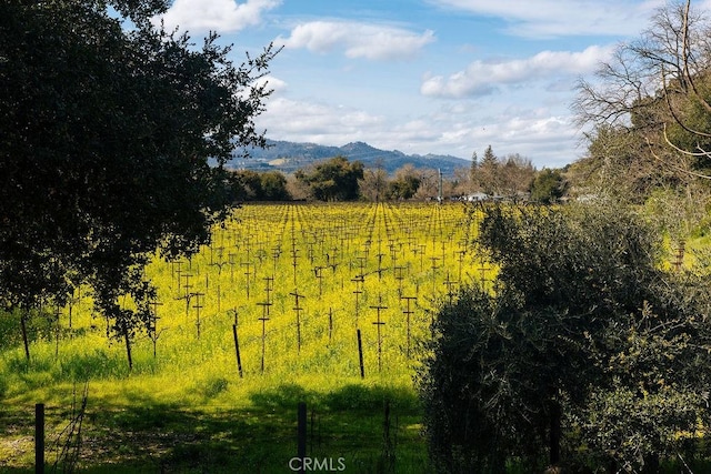 property view of mountains featuring a rural view