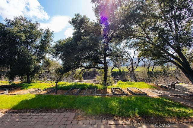 view of home's community with a vegetable garden