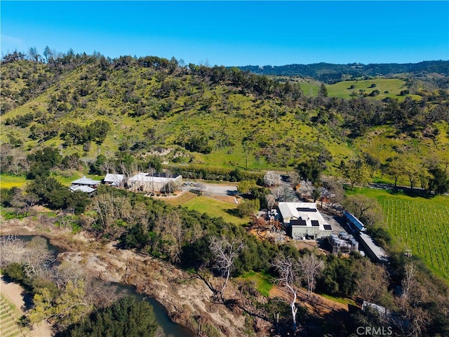 drone / aerial view with a forest view