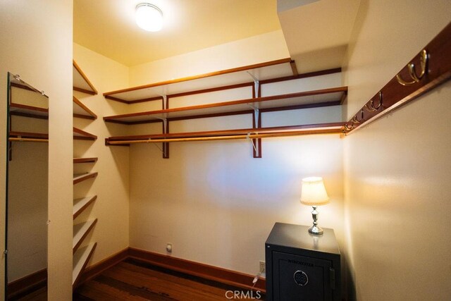 walk in closet featuring dark wood-style floors