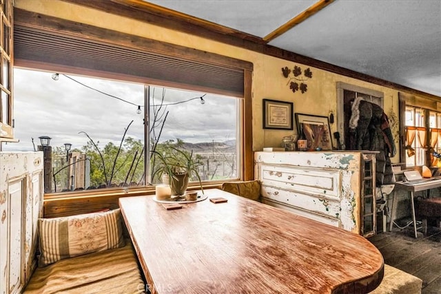 dining space featuring wood finished floors