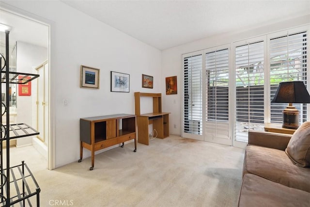 interior space featuring carpet flooring