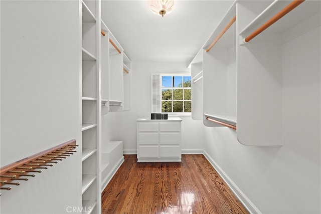 walk in closet featuring wood finished floors