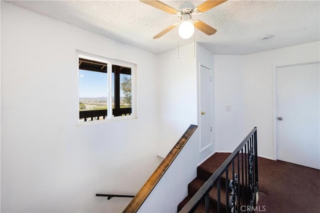 stairs featuring carpet flooring, a ceiling fan, and a textured ceiling