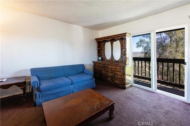 carpeted living room with a textured ceiling