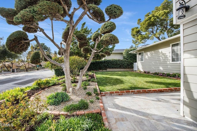 view of yard with a patio