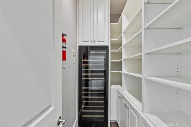 pantry featuring beverage cooler