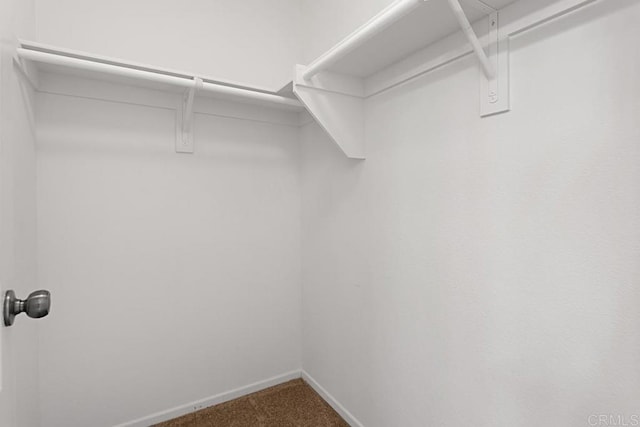 spacious closet with carpet floors