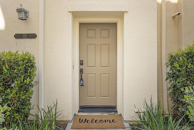 doorway to property featuring stucco siding