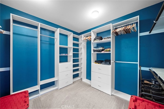 walk in closet with carpet floors