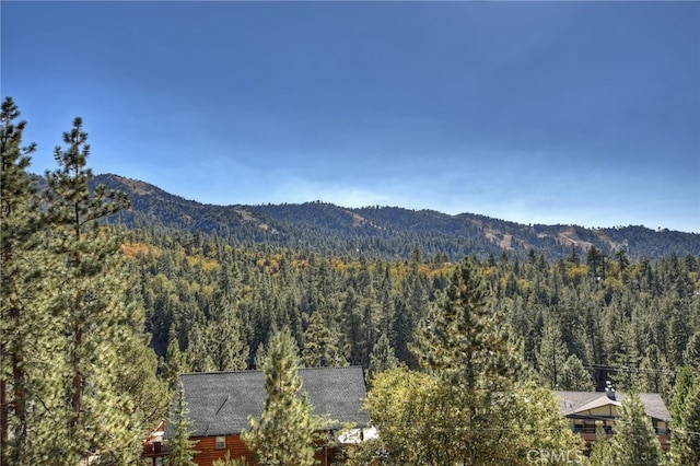 view of mountain feature featuring a wooded view