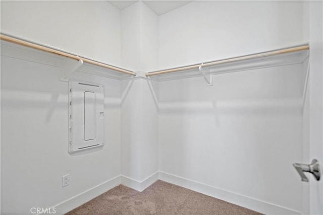 392 Baluster, Irvine, CA 92618 - spacious closet featuring electric panel and carpet floors