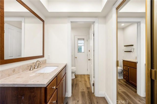 bathroom with toilet, wood finished floors, and vanity