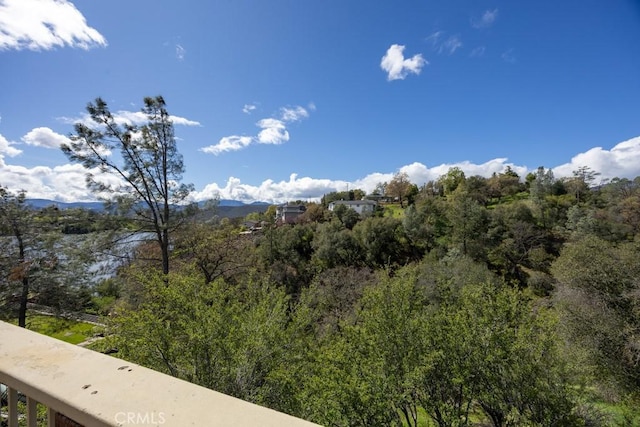 mountain view with a view of trees