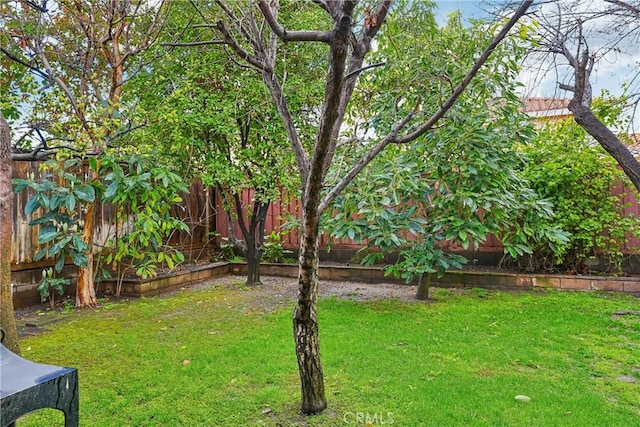 view of yard featuring a fenced backyard