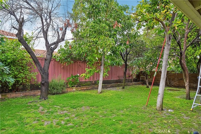 view of yard with a fenced backyard