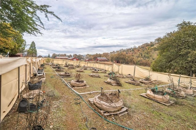 view of yard with a garden and a fenced backyard