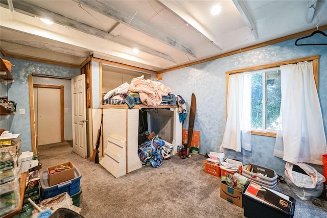 interior space featuring carpet flooring