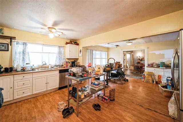 kitchen featuring a sink, a ceiling fan, light wood-type flooring, and stainless steel appliances