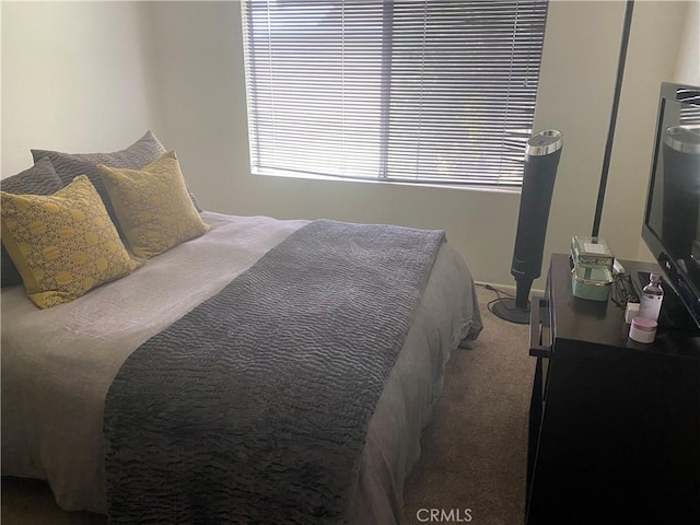 carpeted bedroom with multiple windows