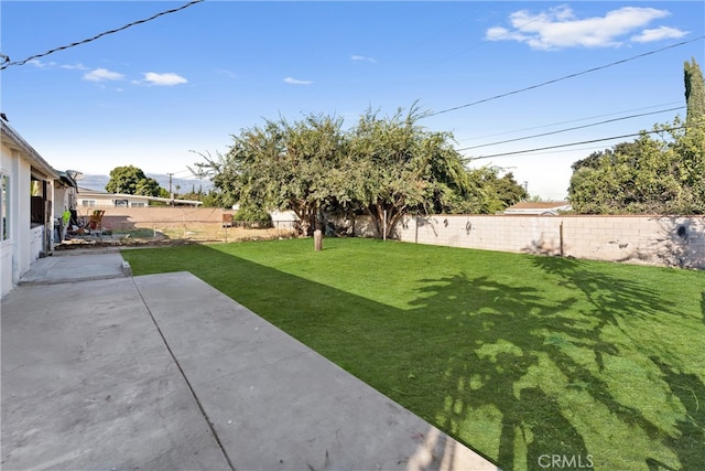 view of yard featuring a patio and a fenced backyard