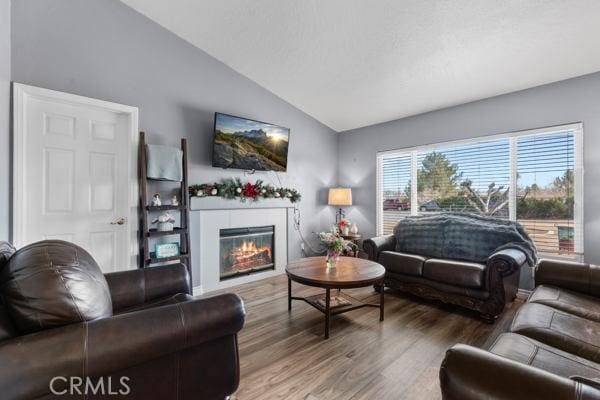 living area featuring a glass covered fireplace, lofted ceiling, and wood finished floors