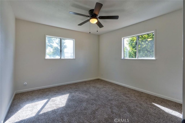 carpeted empty room featuring baseboards and a wealth of natural light