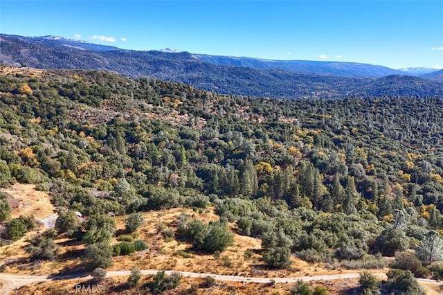 Listing photo 3 for 0155.3AC Old Yosemite Rd, Oakhurst CA 93644