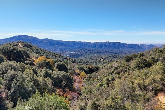 0155.3AC Old Yosemite Rd, Oakhurst CA, 93644 land for sale