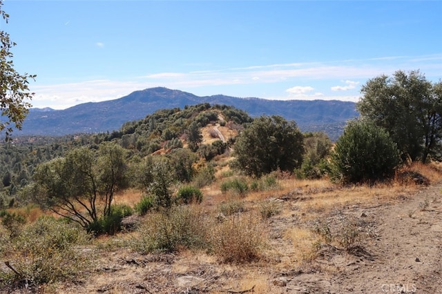 Listing photo 2 for 0155.3AC Old Yosemite Rd, Oakhurst CA 93644