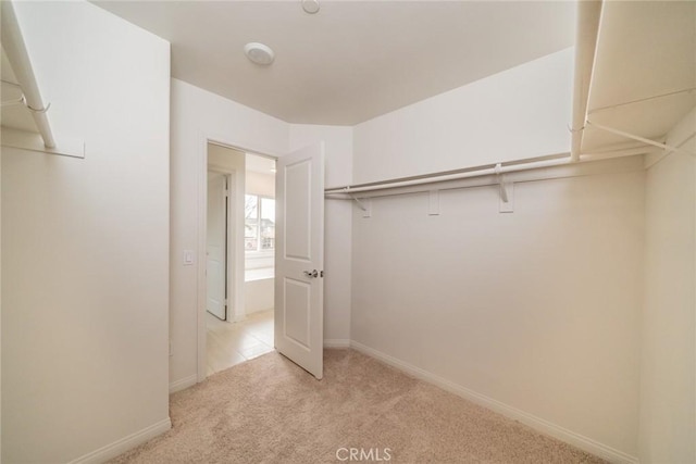 spacious closet with light carpet