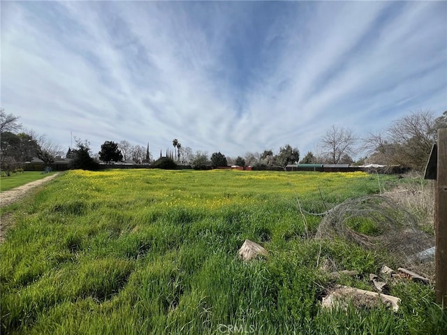 view of yard featuring a rural view