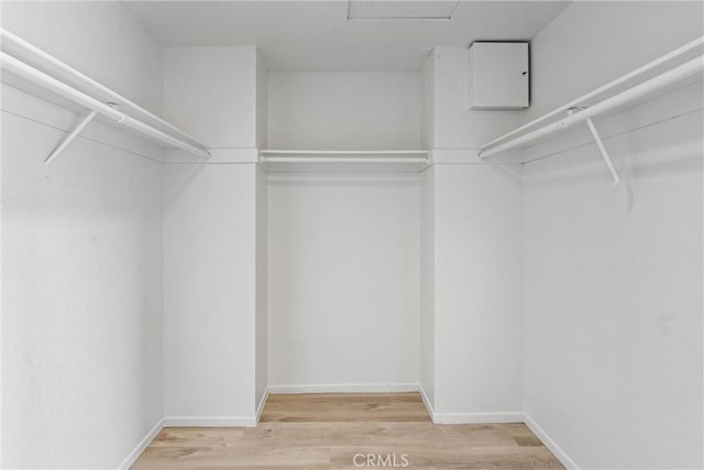 spacious closet featuring wood finished floors