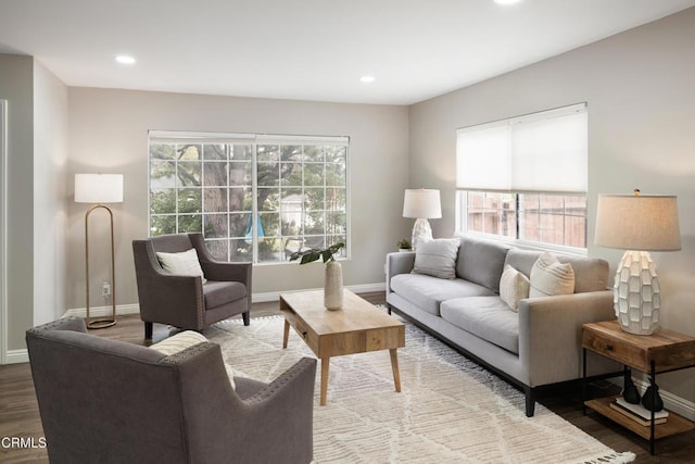 living room featuring plenty of natural light, baseboards, and wood finished floors