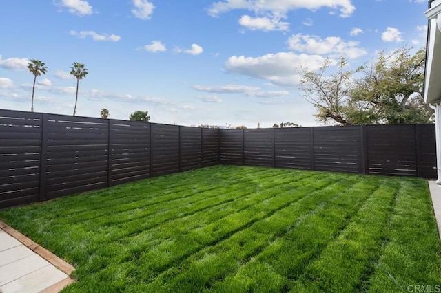 view of yard featuring a fenced backyard