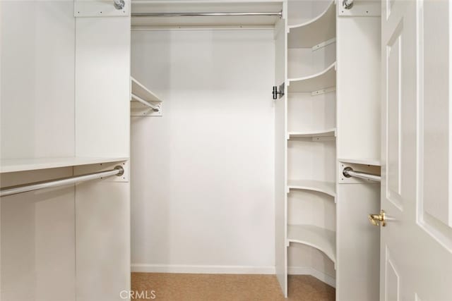 view of walk in closet