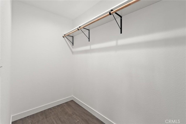 spacious closet featuring dark wood finished floors