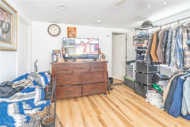 spacious closet with light wood-type flooring