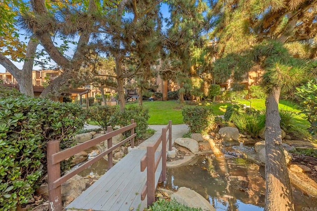 4015 Canario St Unit D, Carlsbad, CA 92008 - view of green lawn