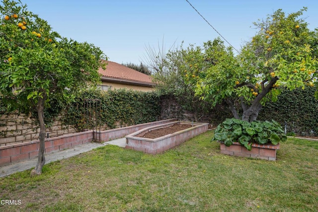 view of yard with fence and a garden