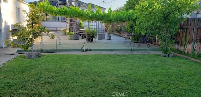 view of yard featuring a fenced backyard and a patio area