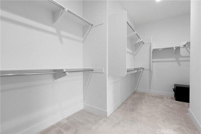 walk in closet featuring carpet flooring